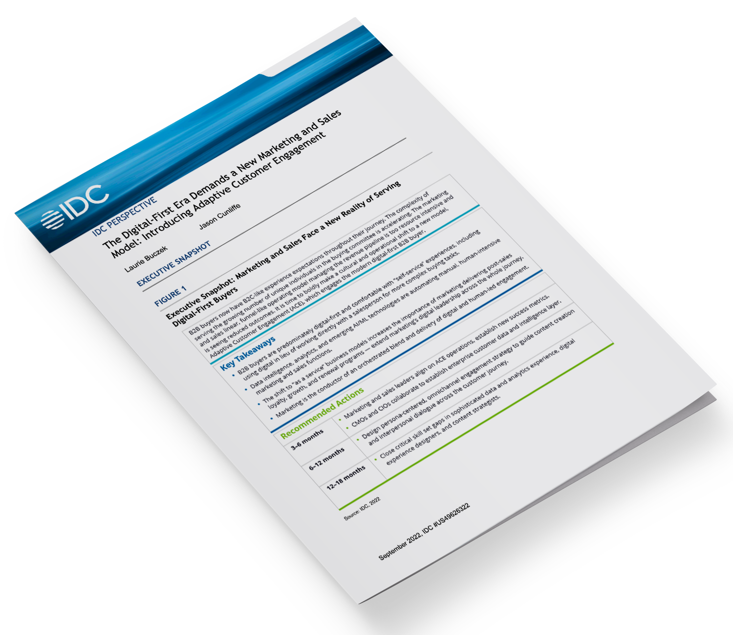 IDC Adaptive Customer Engagement Perspective Document